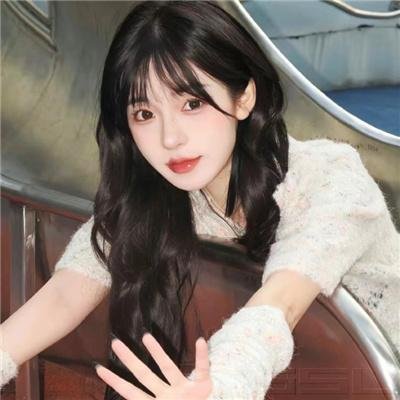金装律师第八季